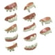thumbnail image 4 of Accesorio de disfraz de cosplay divertido para adultos con dientes de Halloween, decoración para fiesta elegante 12 piezas nacaradas., 4 of 9