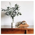 thumbnail image 4 of WGV Cylinder Vase Bulk, Width 6", Height 16", Clear Glass Container Terrarium Candle Holder for Wedding Centerpiece, Party Event, Home Office Decor, 6 Pieces, 4 of 7