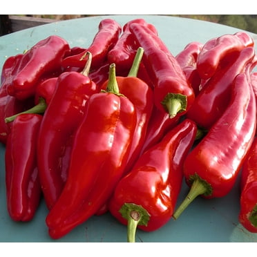 Doux Despagne Heirloom Basque Region Pepper Premium Seeds Packet