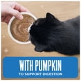 thumbnail image 5 of (12 pack) Tiki Cat Friends Mousse Tuna, Pumpkin & Tilapia, 2.8 oz pouch, 5 of 10