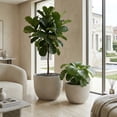 thumbnail image 3 of NOBOLEA 2Pcs Round Concrete Planter, Large Indoor/Outdoor Flower Pots with Drainage Hole for Plants for Home Garden Patio, 13" x 13" & 16" x 16", 3 of 12