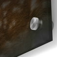 thumbnail image 3 of Epic Art 'Sika Deer' by Epic Portfolio Acrylic Glass Wall Art, 36"x36", 3 of 8