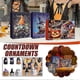 thumbnail image 5 of 2025 Halloween Countdown Calendar with 24 Festive Surprise Blind Boxes, 5 of 5