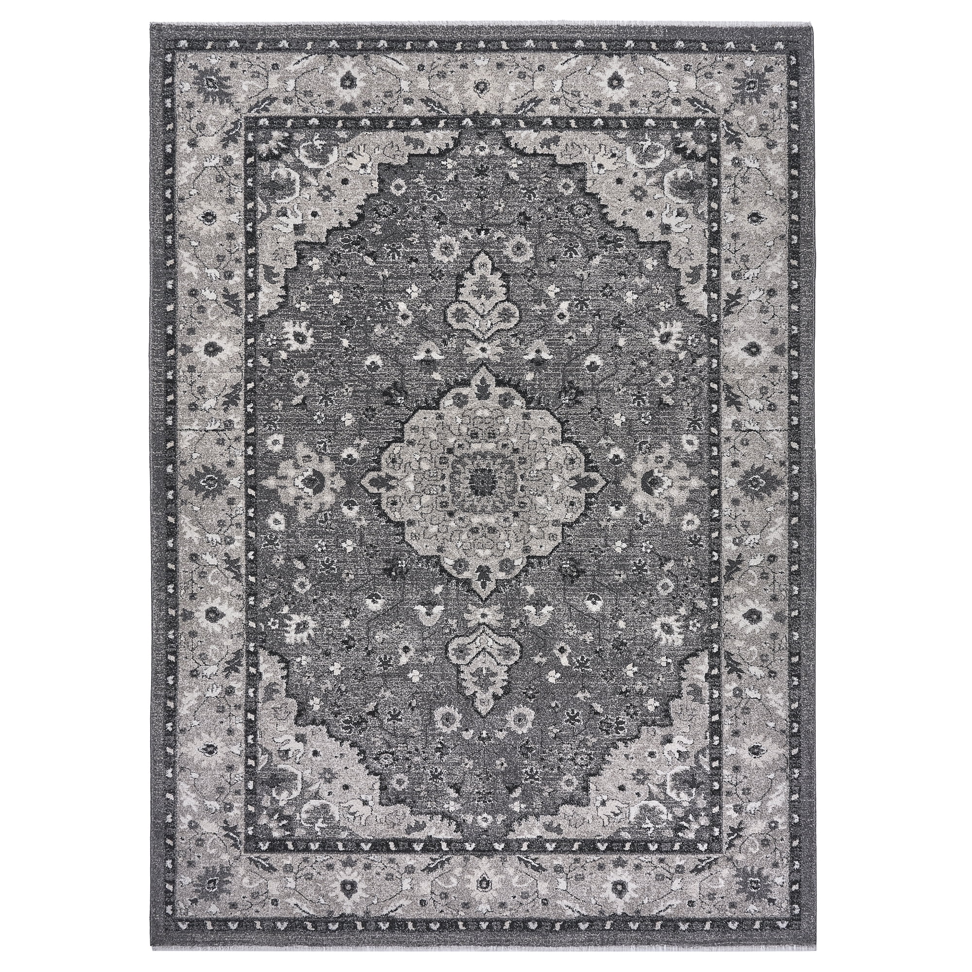 Paradis Ornato Traditional Oriental Gray Area Rug, 6x9