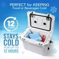 thumbnail image 6 of Everlasting Ice RX Large Reusable Ice Packs for Coolers with Handle, Long-Lasting Freezer Packs for Extended Cooling, 4-Pack, 6 of 6