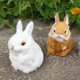 thumbnail image 1 of Cute Artificial Animal Small Rabbit Plush Toys Simulation Mini Pocket Toy Desktop Ornaments Plush Toys Kids Toys Birthday GiftwhiteUnited States He Qiyong unisex, 1 of 1