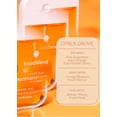 thumbnail image 4 of Gel desinfectante de manos Touchland Citrus Grove 30 ml en bruma hidratante, 4 of 7