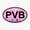 1pcs, variant on Ponte Vedra Beach Florida Travel Sticker