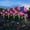 Purple_Hot#5831, variant on Solar Tulip Garden Lights Outdoor Waterproof Stake Lights for Yard Lawn Patio Pathway Decor, Flower LED, Solar Powered Auto On/Off
