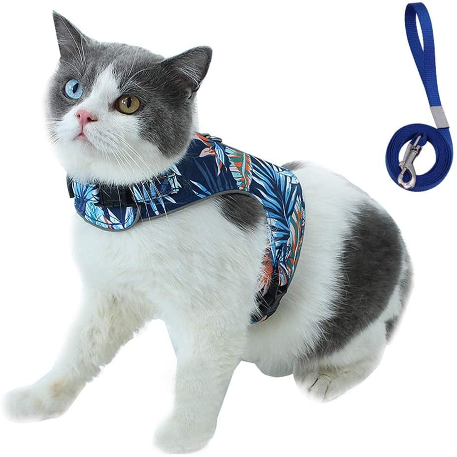 Breathable Adjustable Cat Puppy Harness with Leash Set for Walking Pet Vest for Cats Reflective Kitty Small Dog Harness with Leash Blue XS Cat Kitten Harness and Lead Set Escape Proof