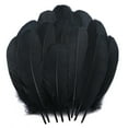 thumbnail image 2 of 200 Pcs Craft Goose Feathers MODANU 5-6inch Black Goose Feathers for DIY Crafts, Festival Costume, Cosplay Wings and Party Home Decorations, 2 of 6