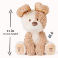 thumbnail image 7 of Baby GUND Peeki the Puppy Animated Plush, Singing Stuffed Animal, Sensory Toy for Babies and Toddlers, Plays Peek-a-Boo and Sings, Brown/Cream, 12”, 7 of 7