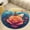 Flannel-3, variant on teenager Painting Giant Yellow Roses Round Area Rugs for Bedroom Living Room, 5FT Soft Indoor Circle Carpets, Carpet Home Decor Floor Mat