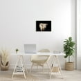 thumbnail image 2 of Stupell Industries Solemn Cattle Portrait Modern Farm Animal over Black Animals & Insects Photography Unframed Art Print Wall Art, 13 x 19, 2 of 6