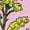 AD-Pink, variant on Nebraska Girl Goldenrod Flower Women's V-Neck T-Shirt