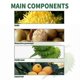 thumbnail image 4 of Lung Detox Herbal Cleanser Spray For Smokers Clear Nasal Congestion Anti Snoring Solution Stop Snore Relief Spray New, 4 of 5
