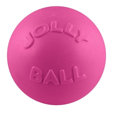 Jolly Pets 8-Inch Jolly Egg Dog Toy - Hard Plastic Rolling Egg For Herding, Chasing, And Play