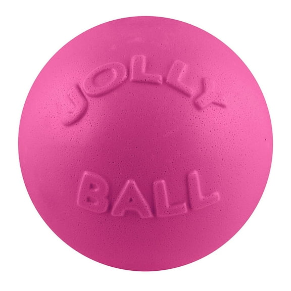 Jolly Pet Bounce-N-Play Ball Pink 6 inch Bubblegum Scented Rubber Dog Toy