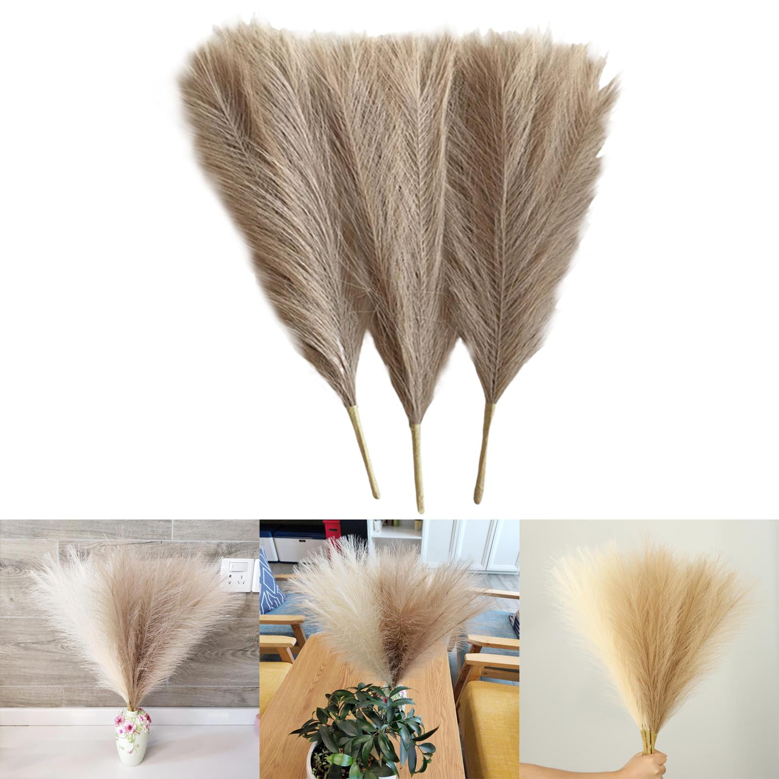 Axioma 9 Pieces Dried Pampas Grass Bohemia Reed Flowers Bunch Home Gift Living Room