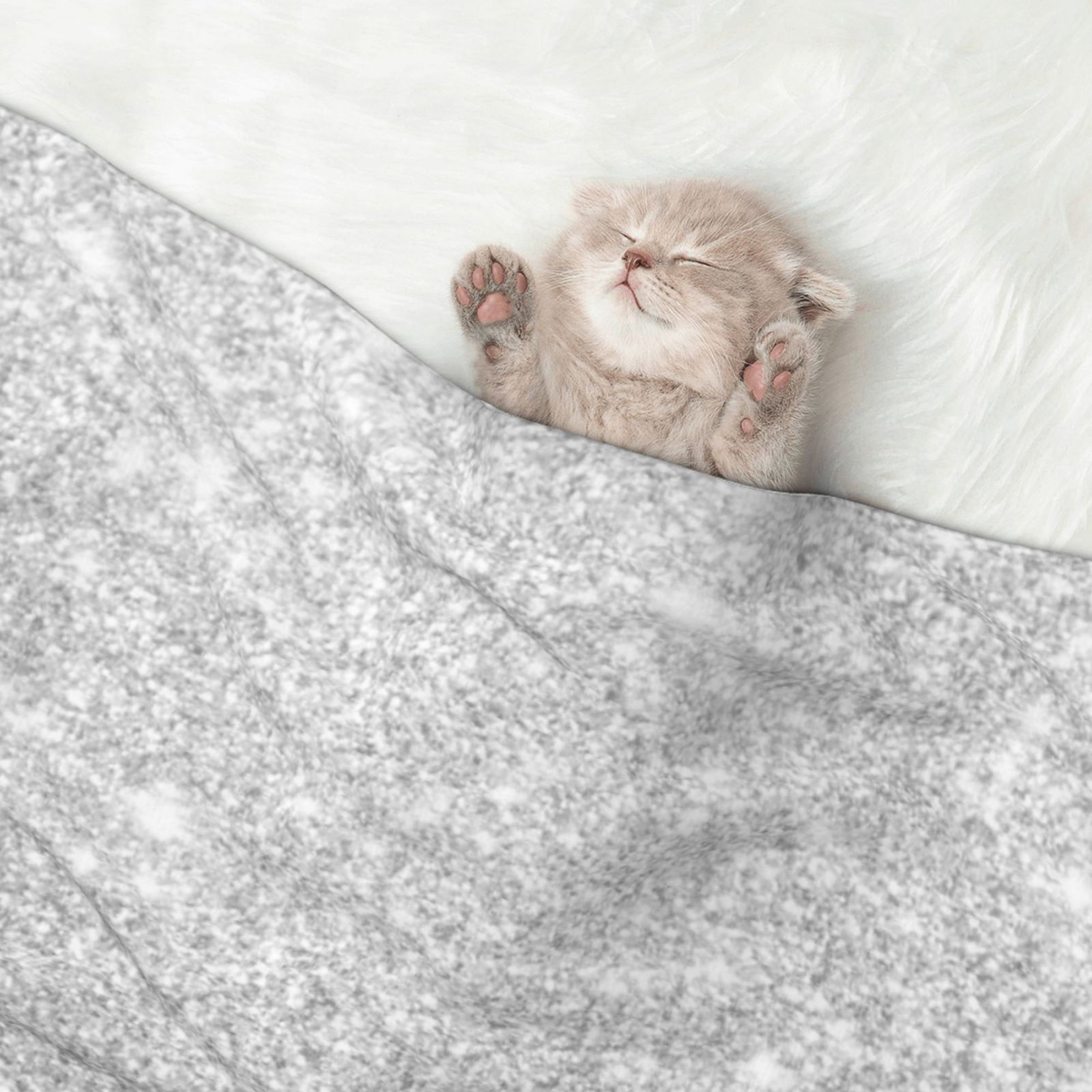 Naloa Silver Glitter Dog Blanket, 3 Sizes Cat Blanket for Indoor Cats Large Medium Small Dog Gifts-