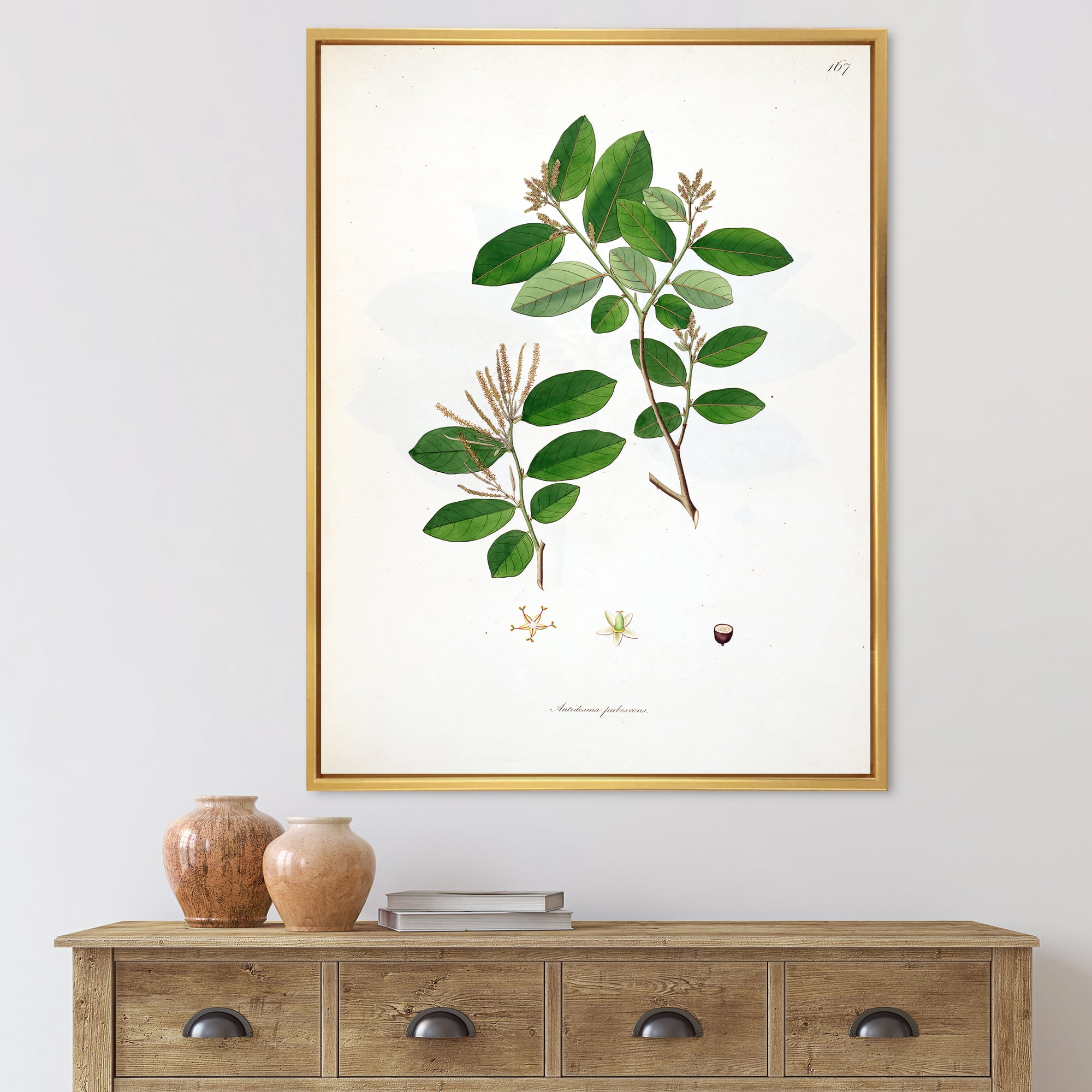 Designart 'Ancient Plant Life XIX' Farmhouse Framed Canvas Wall Art Print