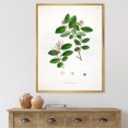 thumbnail image 2 of Designart 'Ancient Plant Life XIX' Farmhouse Framed Canvas Wall Art Print, 2 of 5