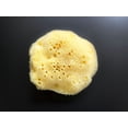 thumbnail image 3 of Esponja marina Constantia Beauty Premium de seda fina natural, 2 unidades, 3 of 8