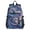 3D Starry Sky, variant on JIALIOU 14" Laptop Backpack Waterproof Airline Approved Stylish Casual Daypack for Travel Business College Work, Watercolor Chandelier Plant