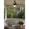 thumbnail image 2 of Sea Gull Lighting Long Beach 52 in. Indoor / Outdoor Ceiling Fan - Bronze - ENERGY STAR, 2 of 4