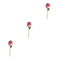 thumbnail image 1 of Baohd 1/2/3/5 10pack/lot Realistic Appearance Artificial Flower For Party Decor And Home Decor Coffee 3PCS, 1 of 6