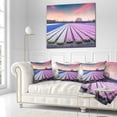 thumbnail image 3 of Designart Colorful Hyacinth Flowers at Sunrise - Photography Throw Pillow - 16x16, 3 of 5