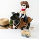 thumbnail image 1 of Decorar Disfraz de vaquero para mascotas, incluye sombrero y máscara para montar a caballo. Ideal para fotos divertidas. 1 unidad Rkxzt, 1 of 5