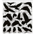 thumbnail image 3 of Ambesonne Black Crow Shower Curtain, Birds and Feathers, 69"Wx70"L, Black Pale Grey, 3 of 3