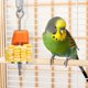 thumbnail image 2 of 5pack Stainless Steel Bird Feeder Set-parrot Feeding Dish Cups, 2 of 5
