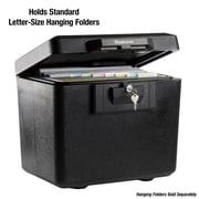 SentrySafe 1170 Fireproof Document Safe with Key Lock, 0.61 CuFt., Black