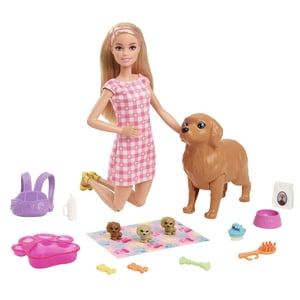 Barbie Newborn Pups Playset with Pregnant Mom Dog