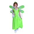 thumbnail image 1 of RG Costumes 91209-S Pixie Costume - Size Child Small 4-6, 1 of 1