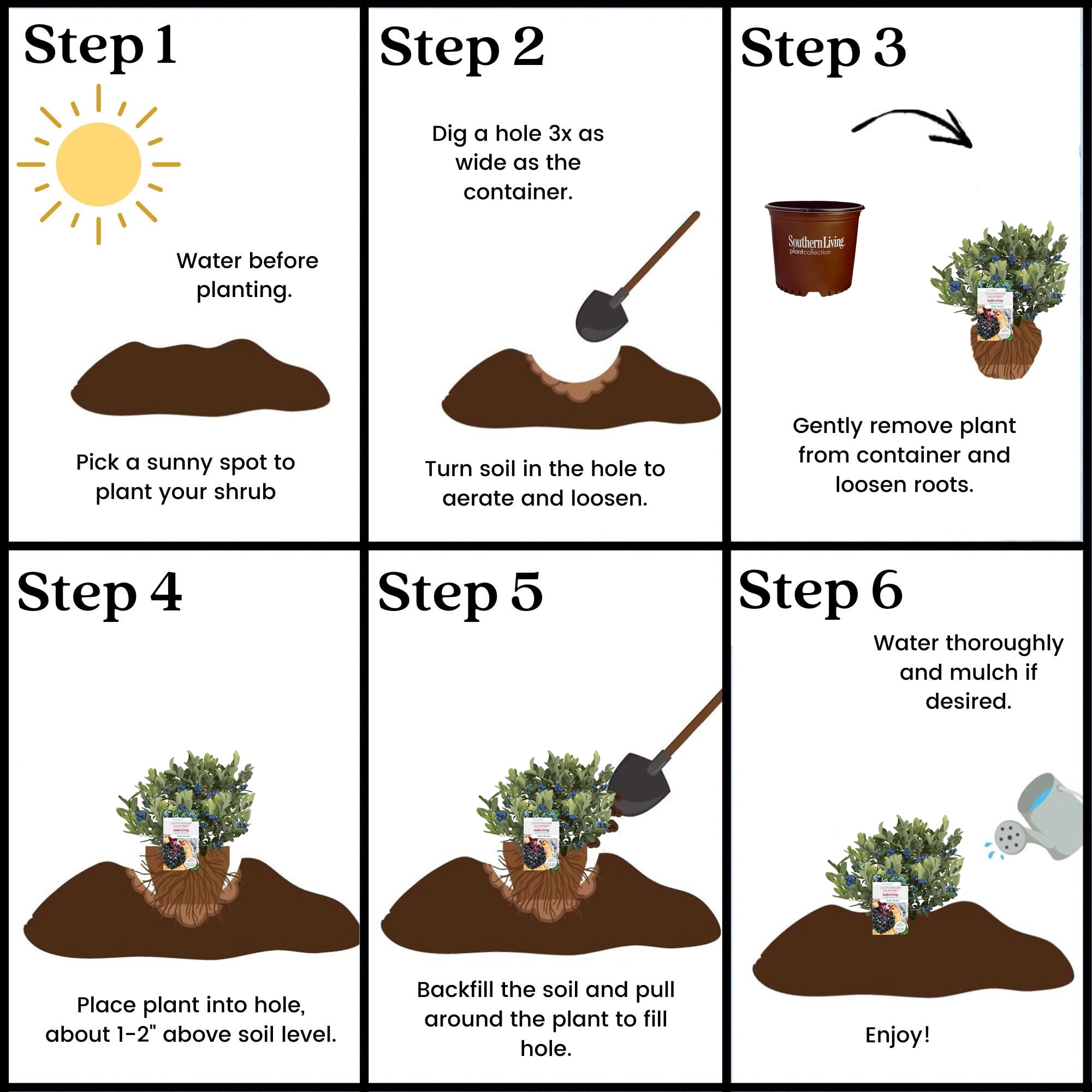 Southern Living Blueberry Hello Darlin Live Shrub in 2-Gallon Grower Pot