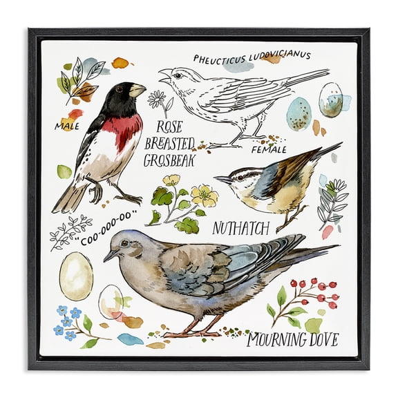 Stupell Industries Farmhouse Black Floating Frame Canvas Art, 18 x 18, by Jane Maday