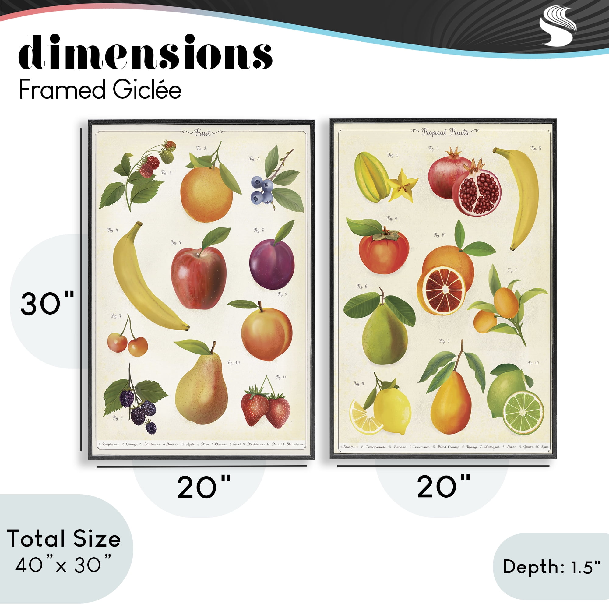 Stupell Industries Kitchen Studies Fruit 2 Piece Black Framed Giclee Art Set, design by Diane Neukirch