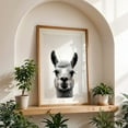 thumbnail image 4 of Baby Lama - Photography Llama Black and White Animal Portrait Wildlife Humor Minimalist Oak Framed Wall Art Print 20 x 30 inches, 4 of 59