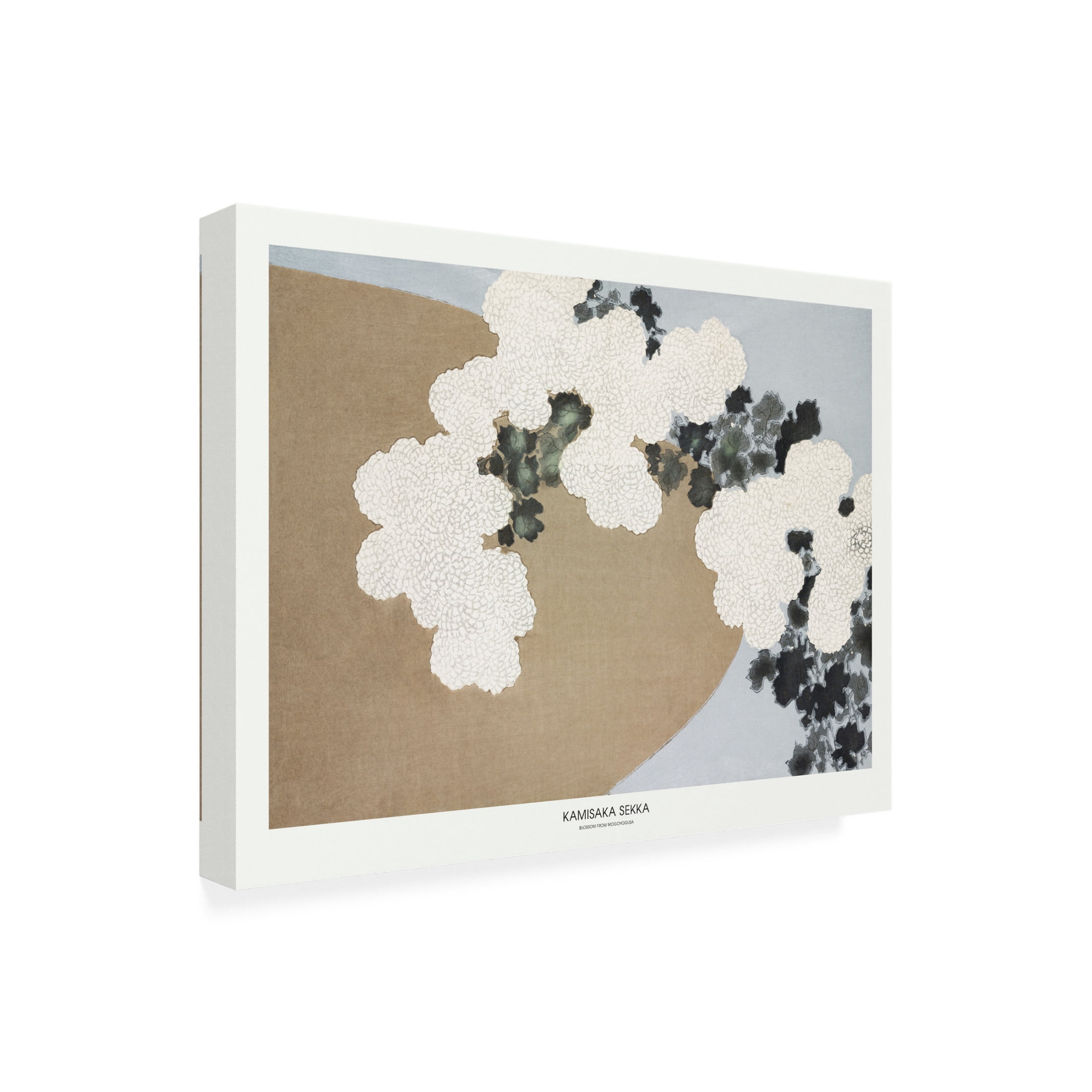 Trademark Fine Art Pictufy Blossom From Momoyogusa Canvas Wall Art