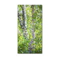 thumbnail image 2 of Trademark Fine Art Mandy Budan Hide And Seek Canvas Wall Art - 24x47, 2 of 4
