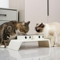 thumbnail image 4 of Elevated Pet Dog Feeder Bowls Raised Stand with Double Stainless Steel Food Water Bowls For Small Medium Large Dogs Cats, 4 of 9