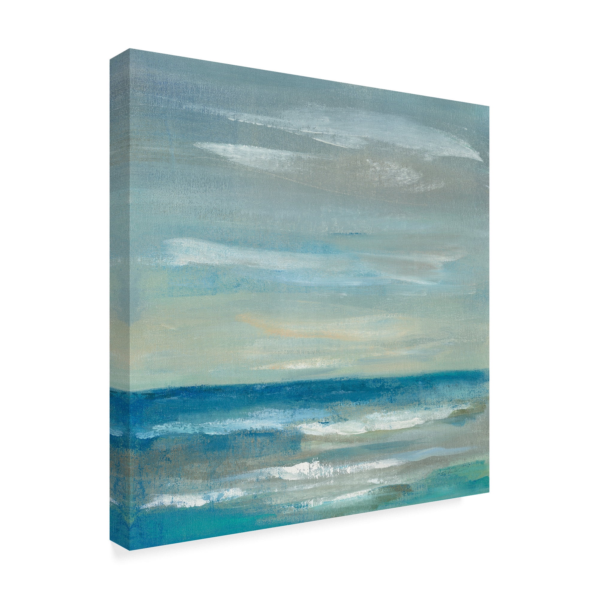 Trademark Fine Art 'Early Morning Waves II' Canvas Art by Silvia Vassileva