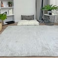 thumbnail image 2 of Alfa Rich 4x6 Silver Gray Area Rugs for Living Room Bedroom Decor Cotton Washable Pet Friendly, 2 of 5