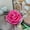 J, variant on RKSTN Valentine's Day Rose Heart Scented Candle - White