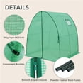 thumbnail image 5 of EAGLE PEAK 5.9' x 5.9' x 6.6' Outdoor Walk-in Tunnel Greenhouse with 2 Zippered Doors, Roll-up Mesh Windows, PE Cover, Green, 5 of 8