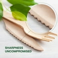 thumbnail image 3 of HLONK [360pcs Birch Wood Utensil Set] 360pcs Birch Wood Disposable Utensil Set - Includes 120 Spoons  150 Forks  150 Knives - Perfect for Dinner Parties  Camping  and Events, 3 of 5