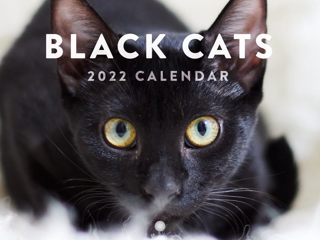 Black Cat Calendar 2023 Monthly Wall Hanging Calendar Cute Baby Kitten 